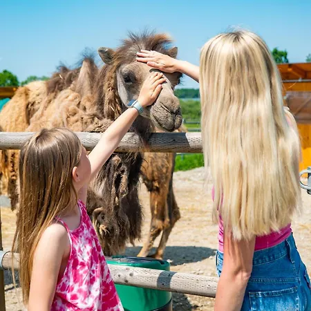 Wellness Zoo Lhota * Lomnice nad Lužnicí