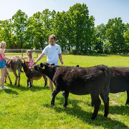 Apartmán Wellness Zoo Lhota Lomnice nad Lužnicí